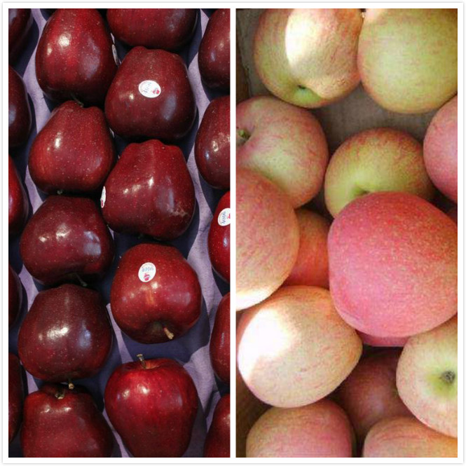 苹果打药跟没打药区别,别被神药忽悠