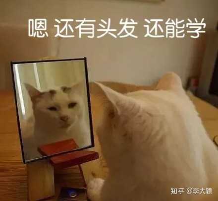有哪些高质量的自学网,有哪些自学网站是真正免费的