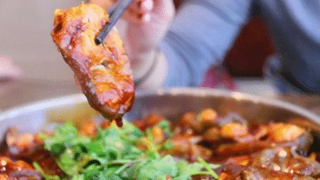 南阳市动物王国门票,南阳市动物主题公园