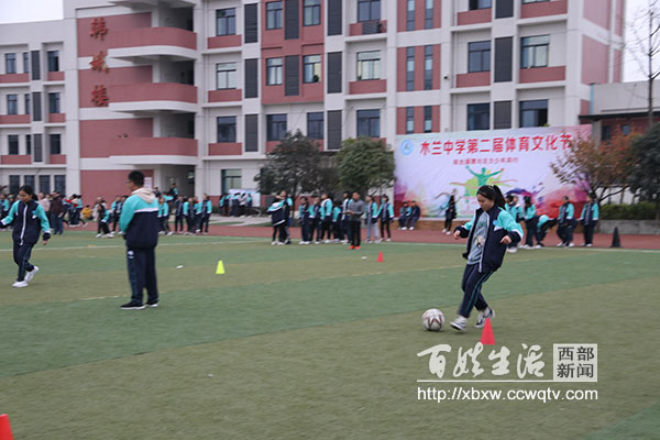 校园体育文化节活动,学校开展体育节系列活动