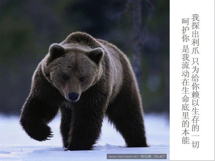 我只想说声爱你,只想再爱你一次