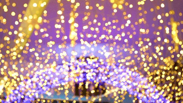 大牌餐饮5折,大牌美食5折购