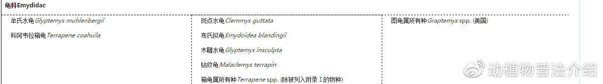 匠志萌宠乐园教学,匠志萌宠