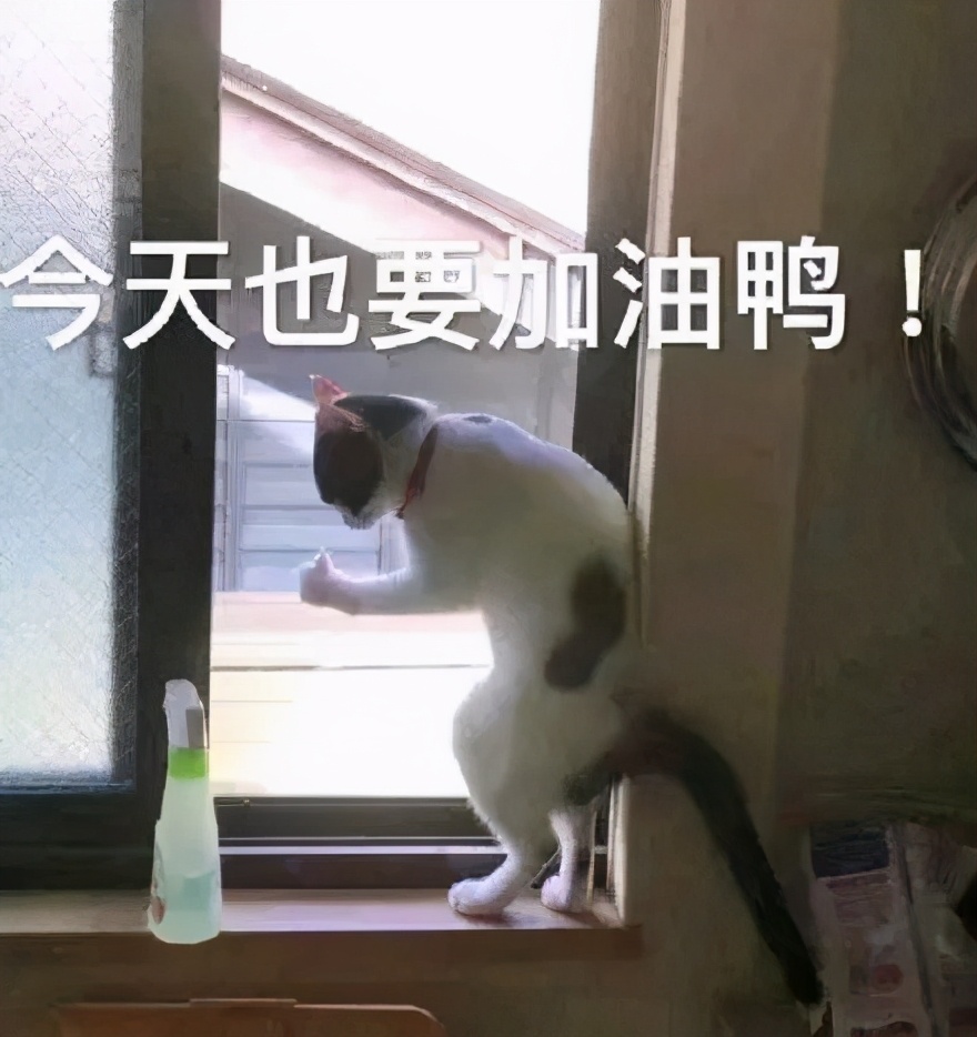 看完郭敬明微电影的反应,看完侍神令