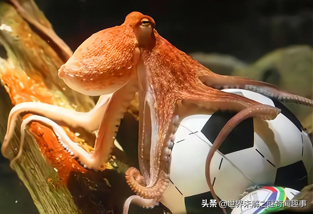这种被称为“丁丁”的生物有多神奇？长大后吸掉自己的脑子还能活