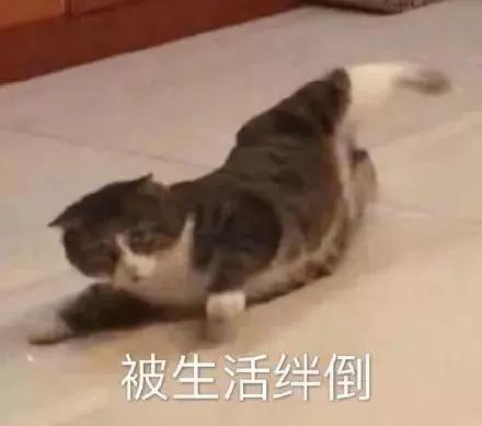 南京司机招聘的骗局,南京货运司机骗局