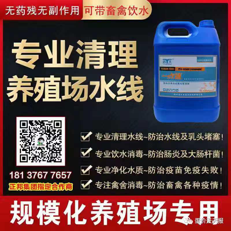 2019年1月24号全国鸭蛋价格,2022年4月12日鸭蛋价