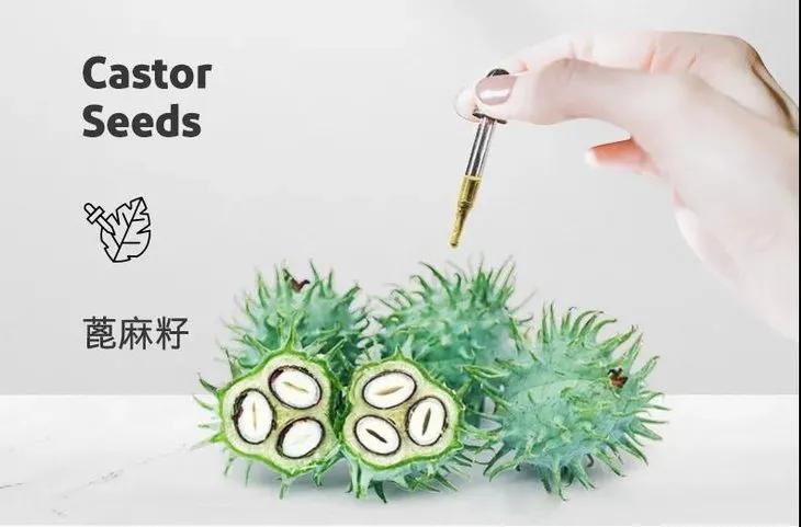 鞋里放个球，轻松解决臭脚问题，一个能顶45天