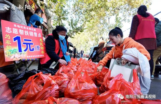 爱看南阳㉘初冬·暖阳仍然