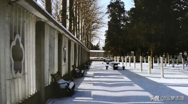 天津2024高考专科院校有哪些,天津春季高考最好的十所专科院校