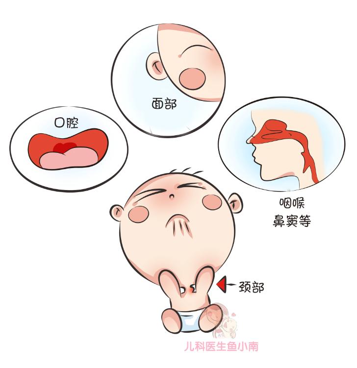 宝宝耳后脖子处按压有疙瘩,儿童耳后有个硬疙瘩挂哪一科