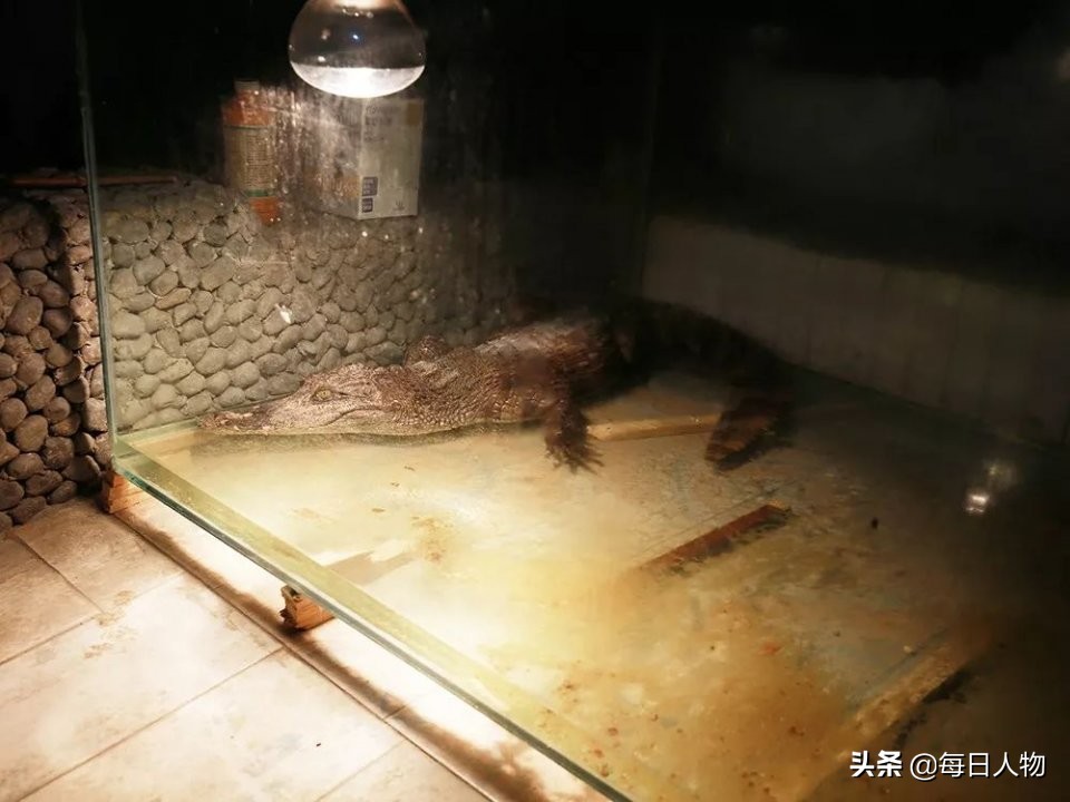 河北人没存在感，却打破了世界的所有次元壁