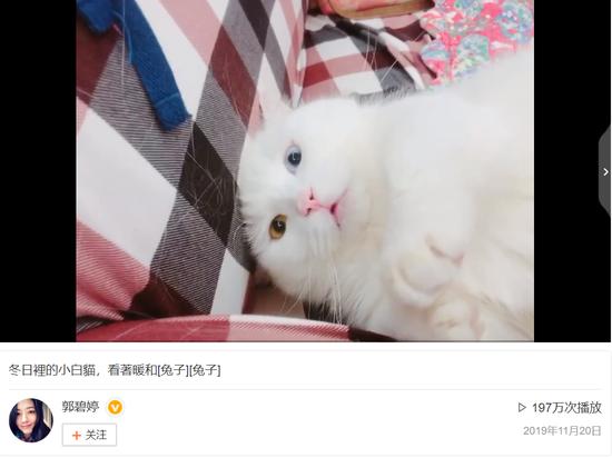 郭碧婷再被疑怀孕,郭碧婷孕期微博