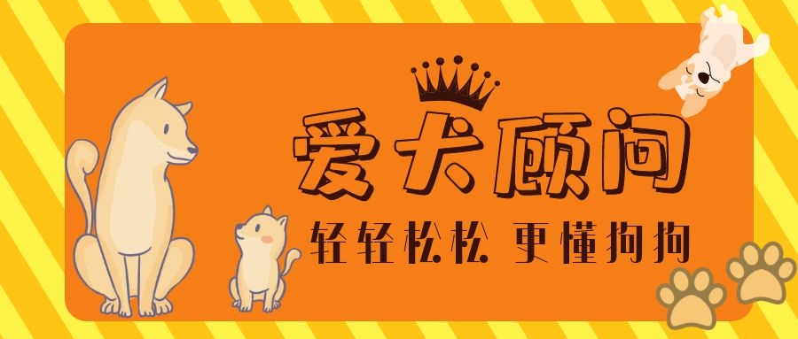 狗狗抗拒穿衣服咬人怎么办,狗狗抗拒嘴套怎么办