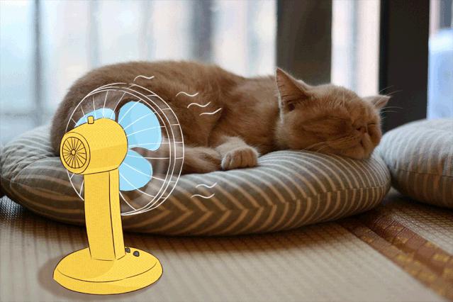 广州白天避暑好玩的地方推荐,广州哪里适合避暑旅游