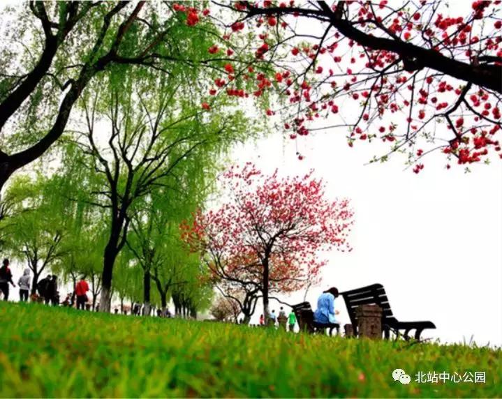 深圳将建8万人专业足球场,全国最大足球公园