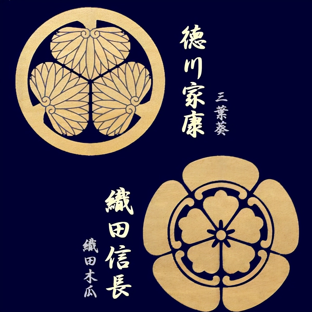 鬼灭之刃的知识解说,盘点鬼灭之刃中的三大谎言