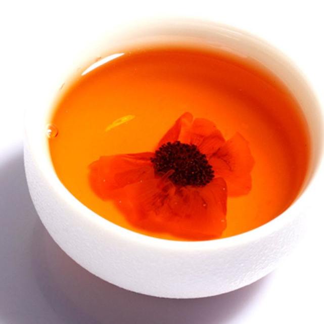 药食同源润肺茶,同根同源的茶