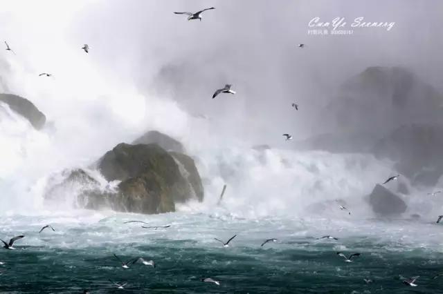 加拿大旅游攻略小视频,加拿大旅游攻略14天多少钱