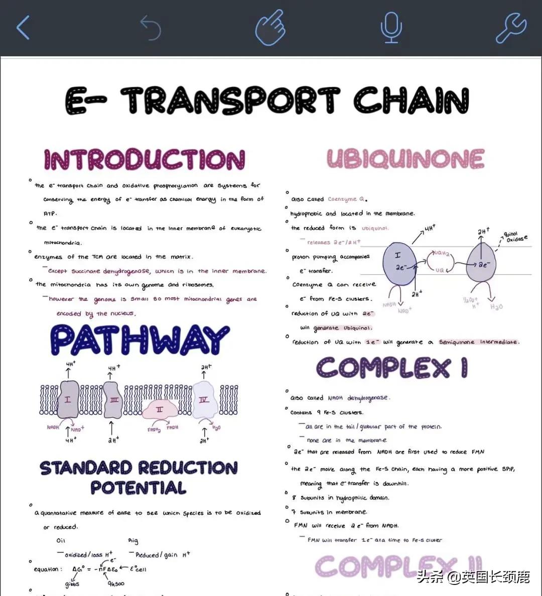 鍒濅腑瀛﹂湼蹇呭杞欢app,瀛﹂湼閮藉湪鐢ㄧ殑鑷緥app