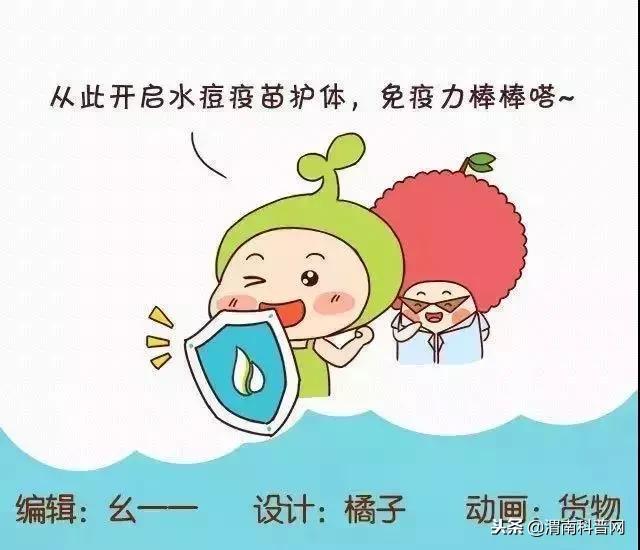 水痘基本知识图解,学校水痘的防控措施