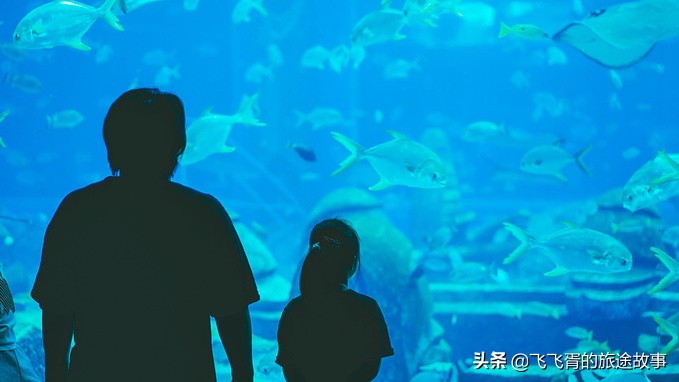 遇见海棠三亚,遇见海棠