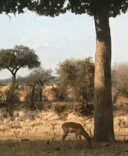 捡到了u盘里面会有什么,捡到一个u盘还好没有用