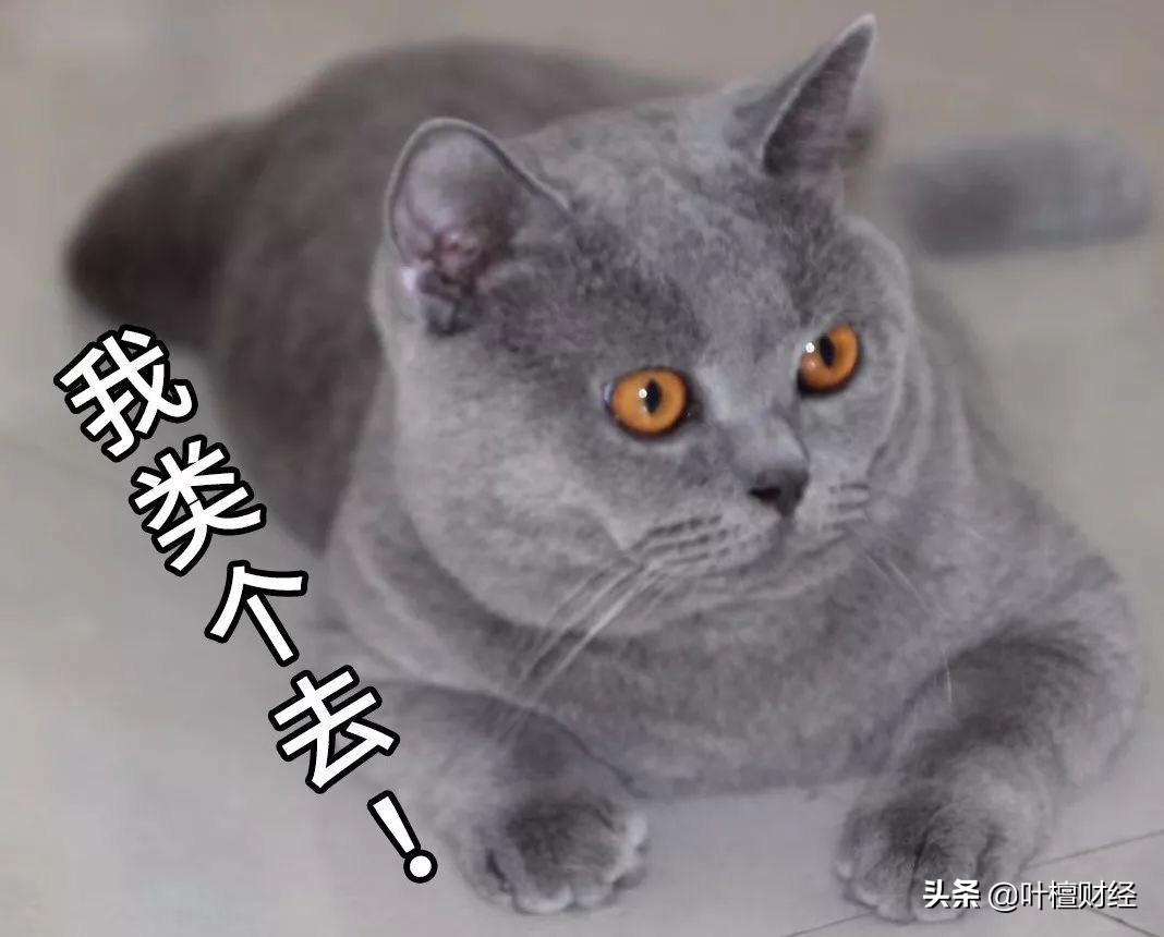 紧急时期股市出现危险信号,股票危机回潮警报拉响