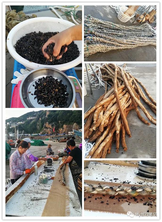 枸杞岛九月之旅 (一生必去的枸杞岛)