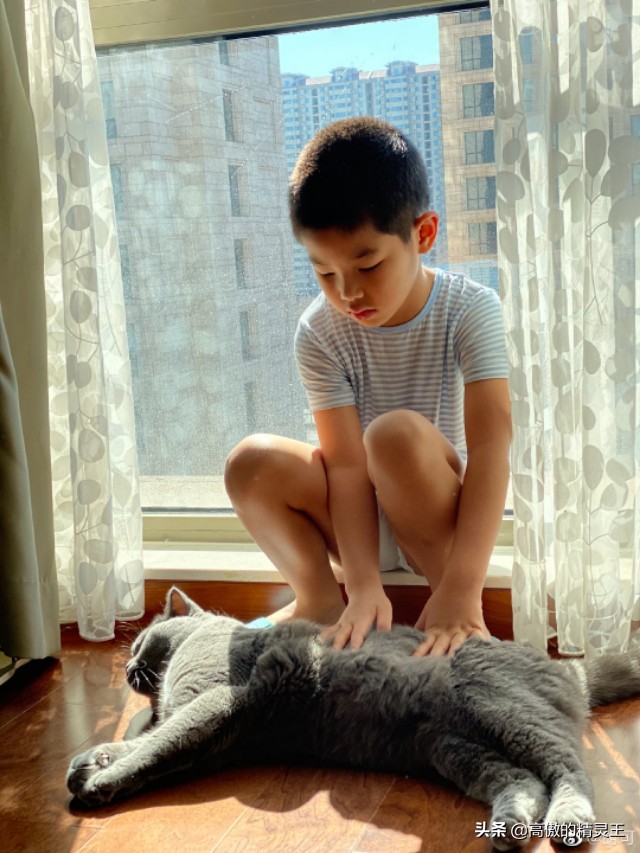 胡可晒小鱼儿垂涎猫粮，趴地上围观猫咪进食，网友提醒谨慎他偷吃