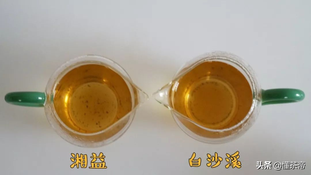黑茶评测,哪个黑茶口感好香甜又好喝