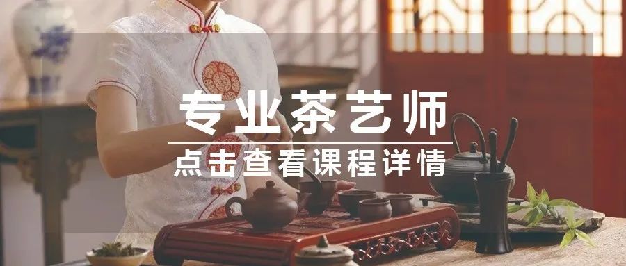 最流行的花艺趋势,目前流行的花艺流派