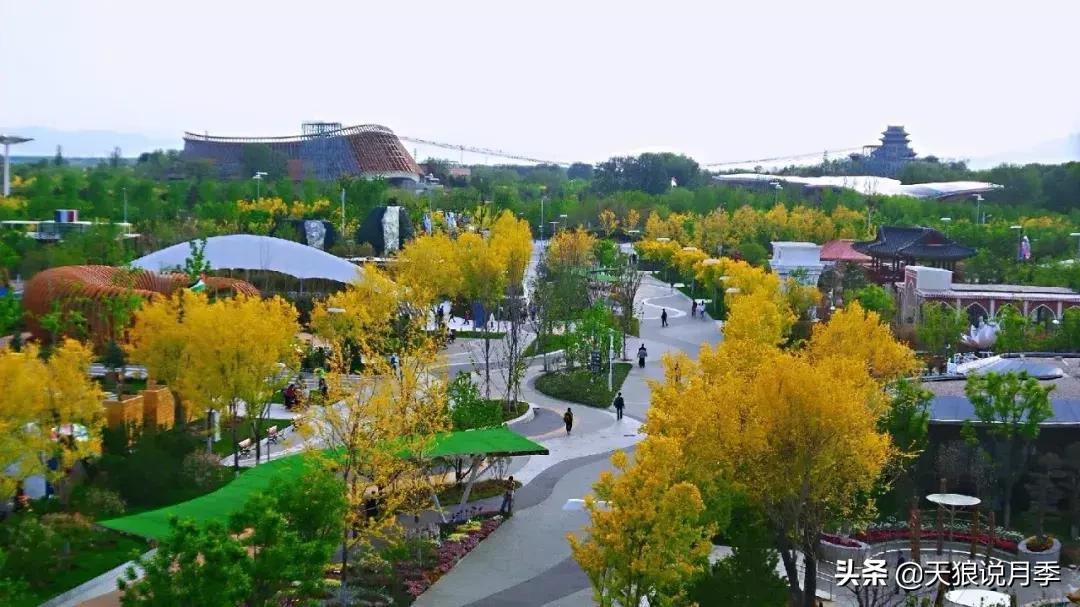 去过世园会,有人去过世园会吗