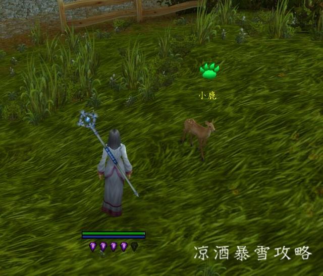 魔兽世界宠物对战是哪个版本的,魔兽世界宠物对战推荐