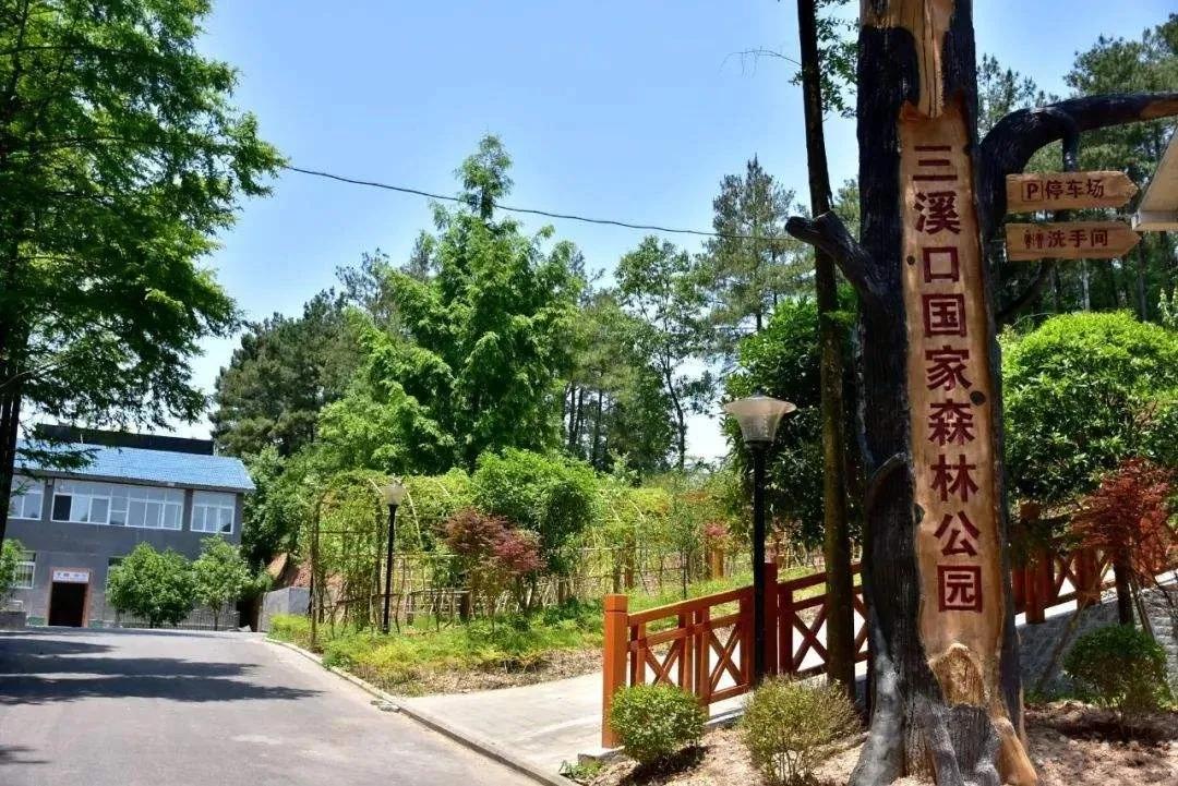 闲坐凉亭、徒步森林、畅快橡皮艇，快来苍溪纳凉避暑~