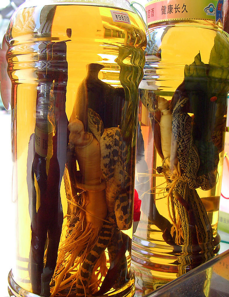 喝补肾壮阳药酒可以喝茶水吗,泡药酒补肾壮阳的药酒配方