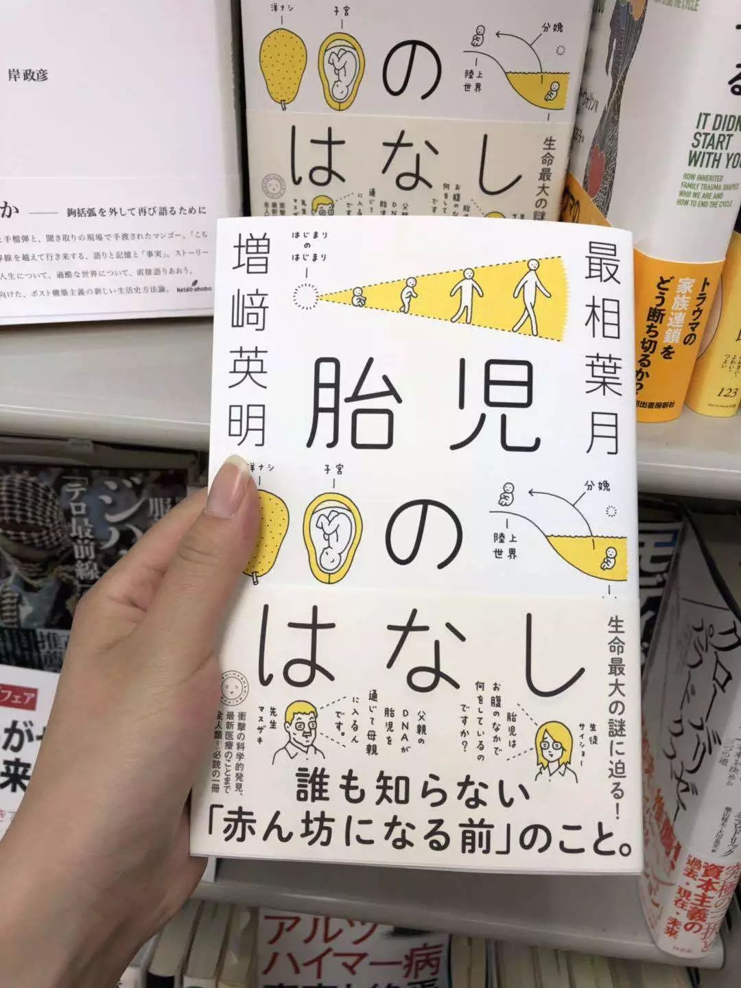 和服日本少女,和服少女京都