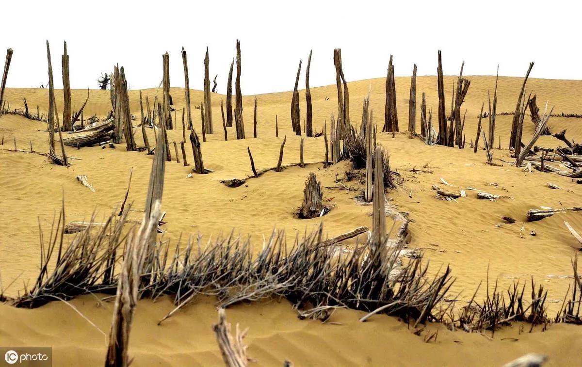 精绝国的消失之谜,精绝国真的存在吗