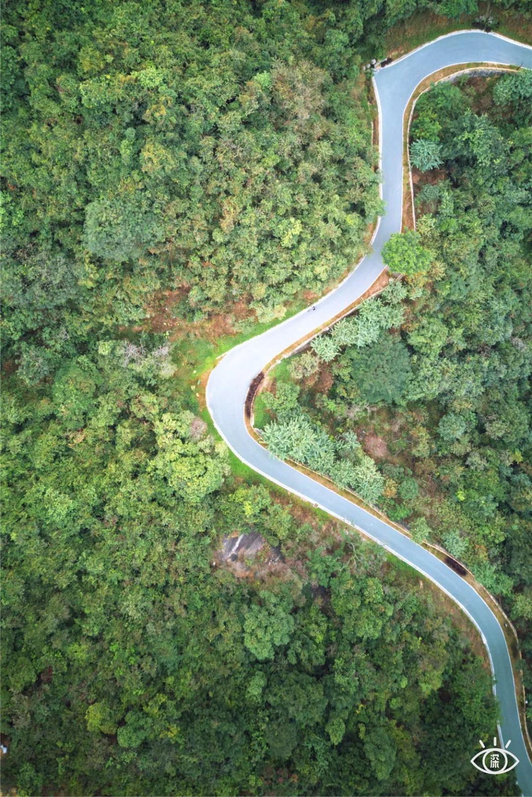 深圳西丽玻璃栈道,深圳海滨栈道重新开放