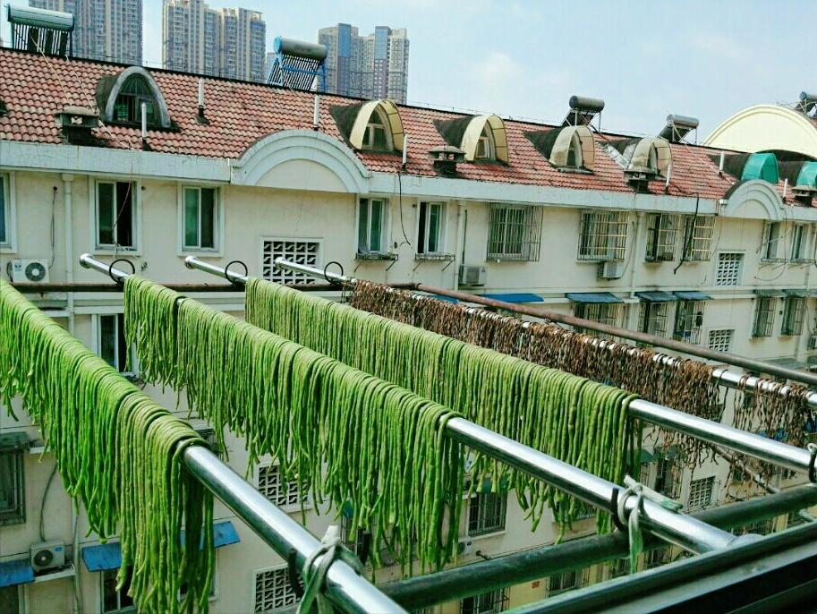 晒豆角干为什么要烫,晒豆角干用焯水吗教你正确的做法