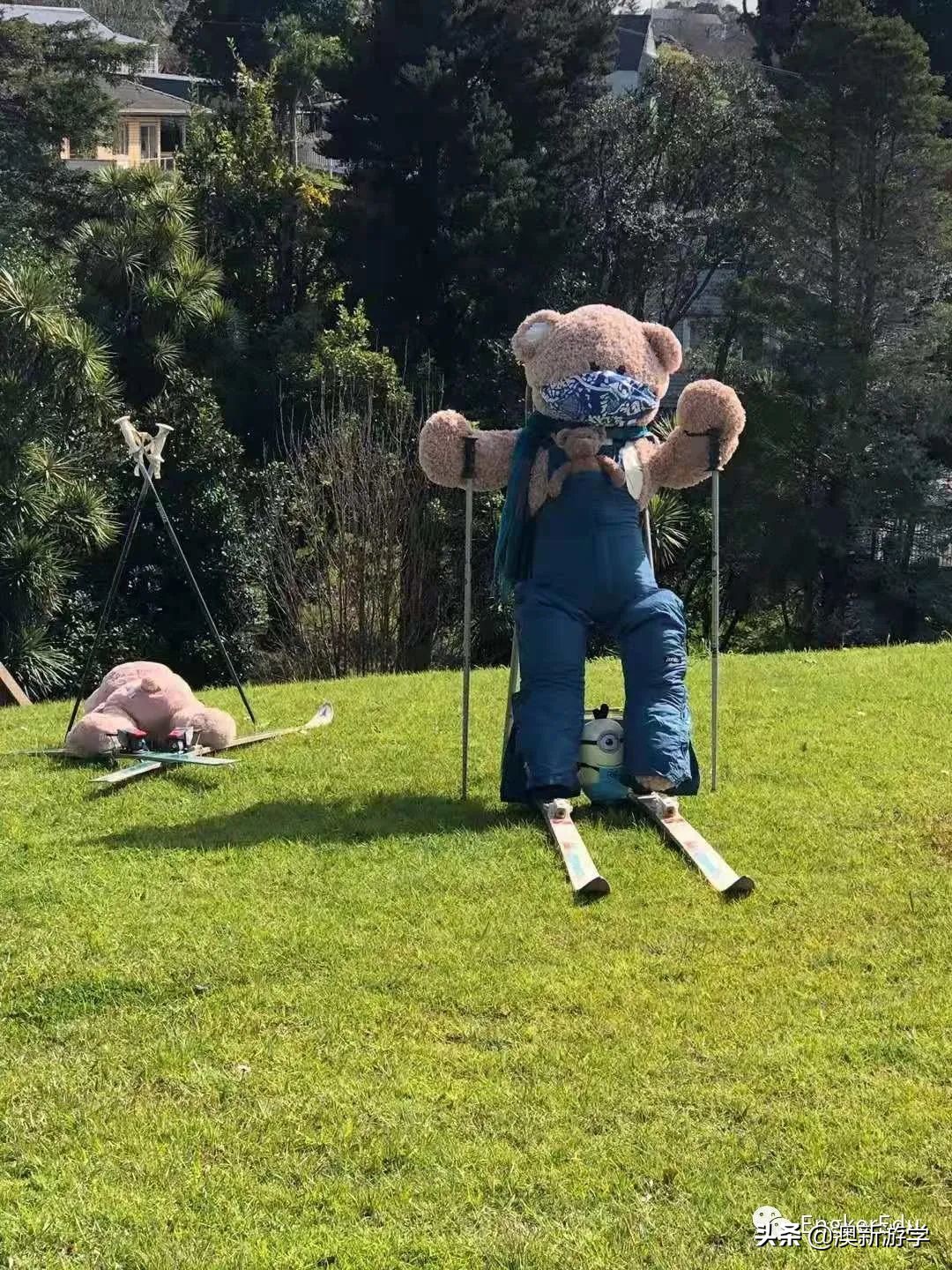 封城期间，玩偶一家的生活大揭秘