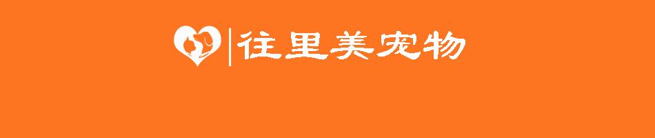 宠物鸟基本吃什么,宠物鸟吃什么饲料