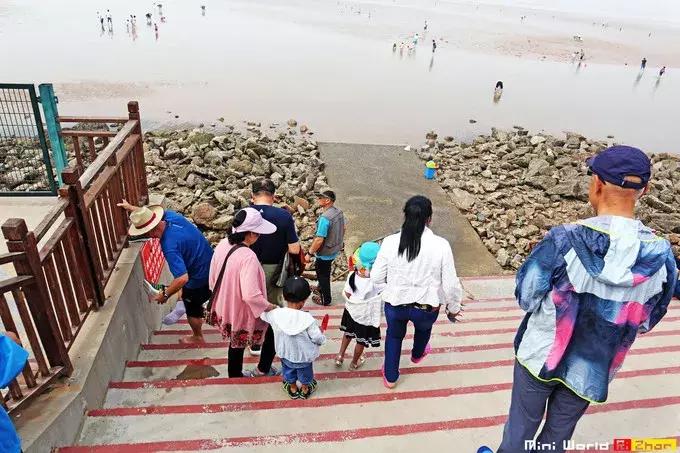 藏在日照的海边，竟然有一处世外桃源，赶海，捕鱼，温馨民宿……