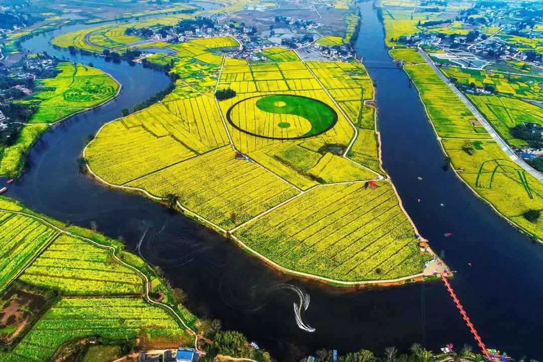 全国油菜花时间表,3月份哪里的油菜花最美