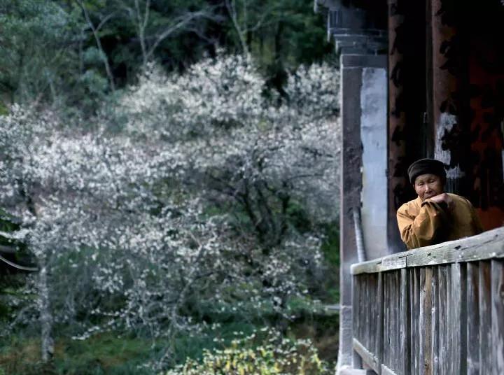 武夷山亲子民宿推荐独栋别墅,武夷山风景区民宿推荐价格表