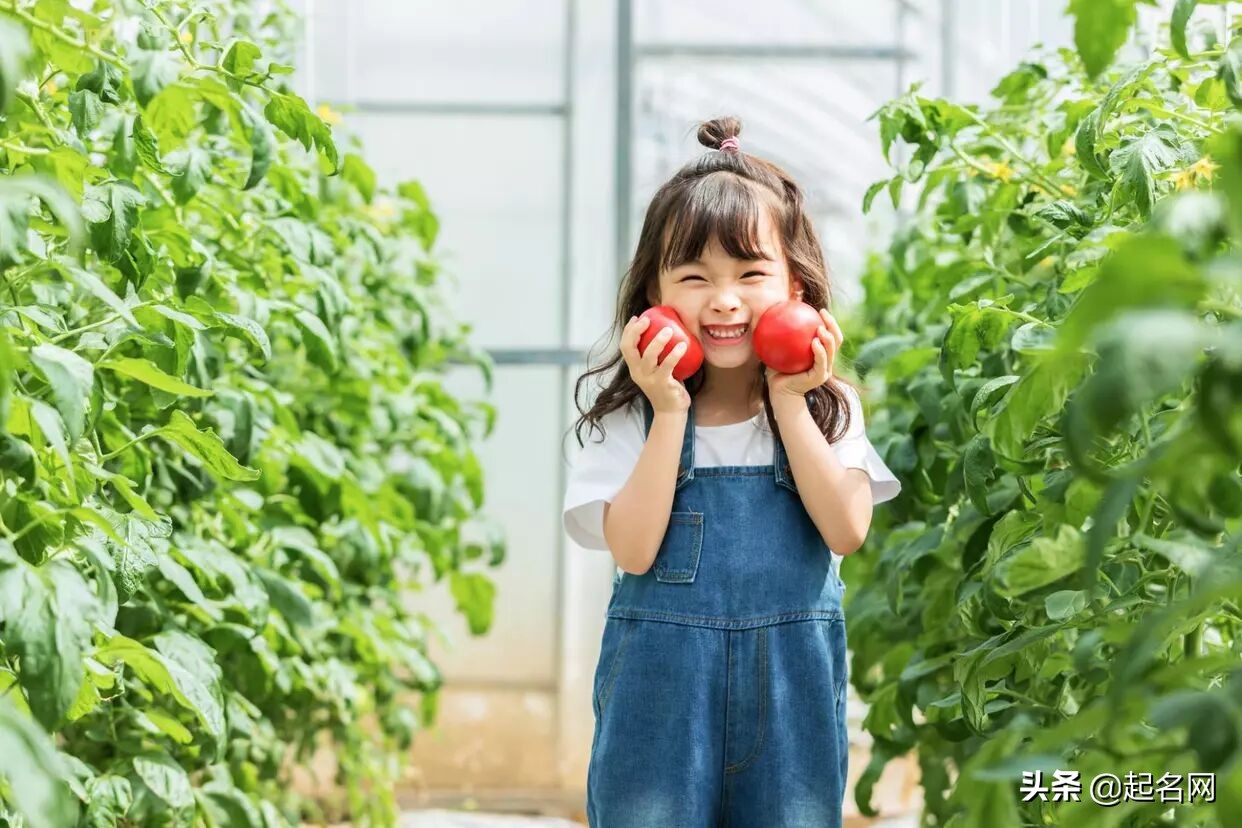 唯美洒脱古风的女孩名,那些诗意又温柔的女生名字