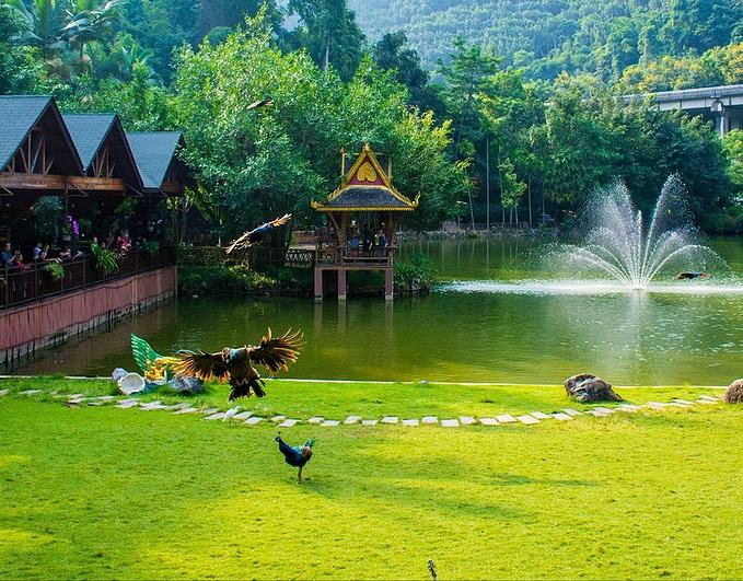 西双版纳环途旅游,西双版纳旅游度假攻略