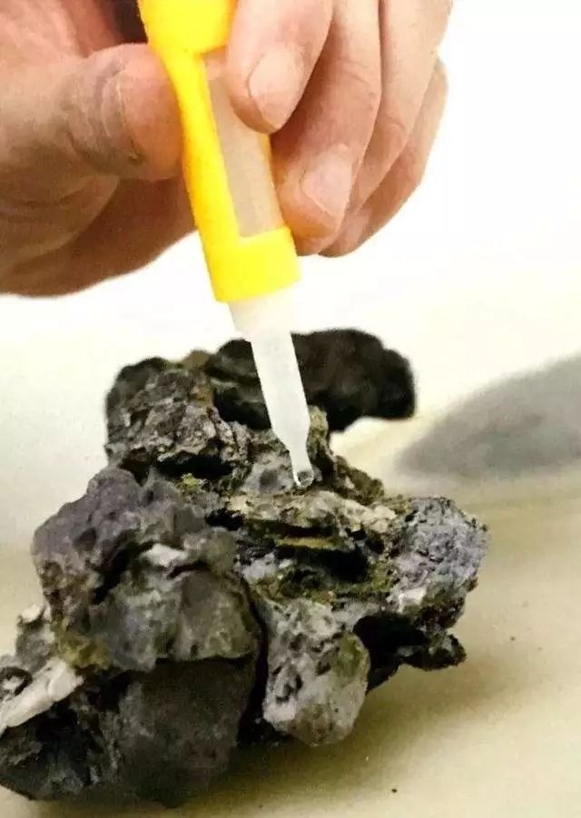 制作更加自然的附石盆景该怎么办,如何制作附石盆景图解
