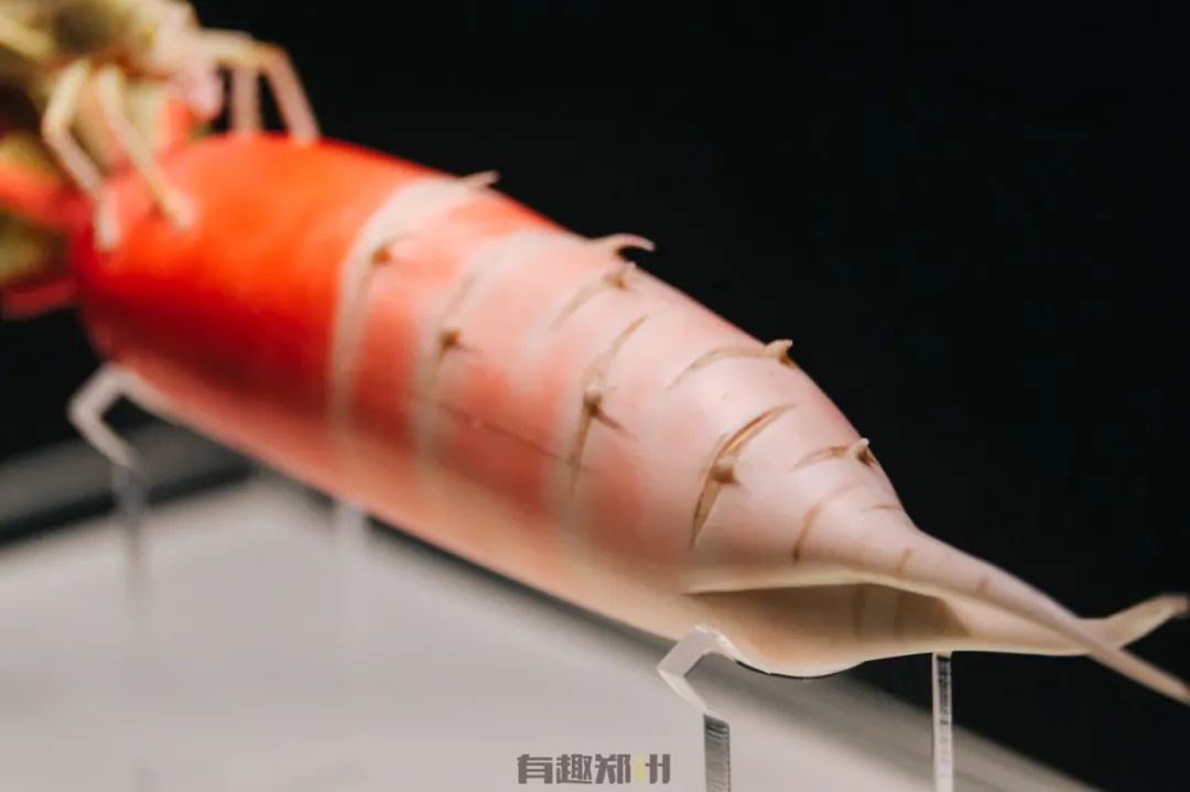 河南博物馆盲盒便宜和贵的区别,河南博物院盲盒开箱