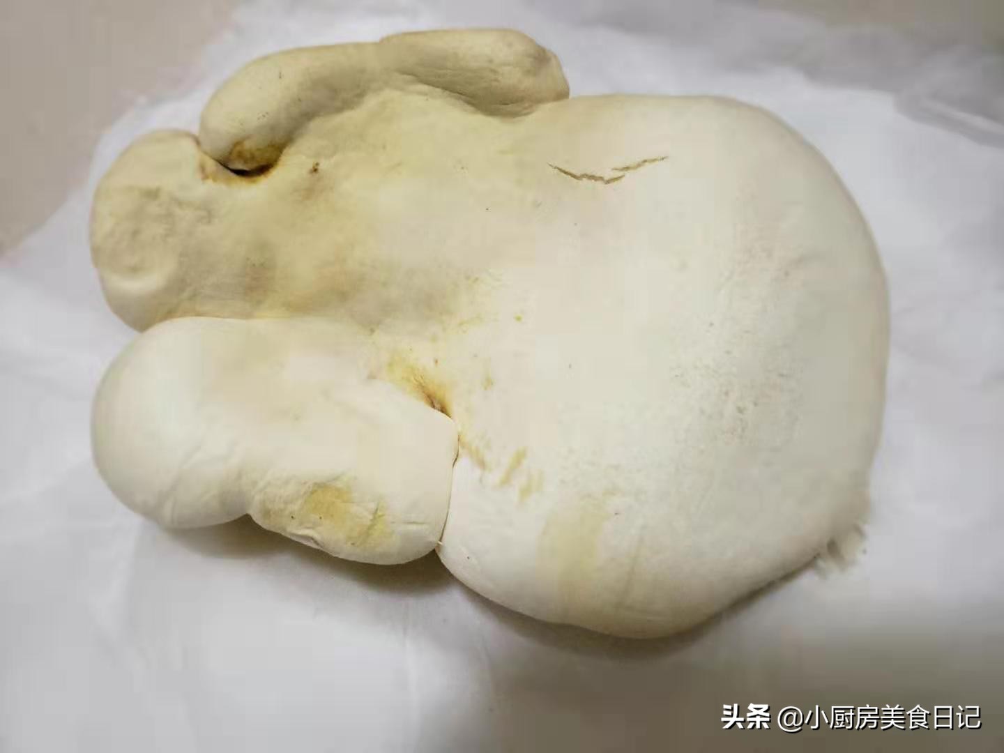 蘑菇好喝又营养的汤孩子喝,哪种蘑菇汤好喝有营养价值